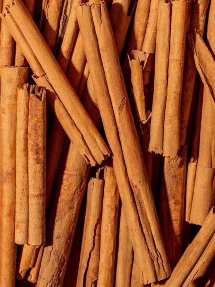 Cinnamon Whole Spice Export