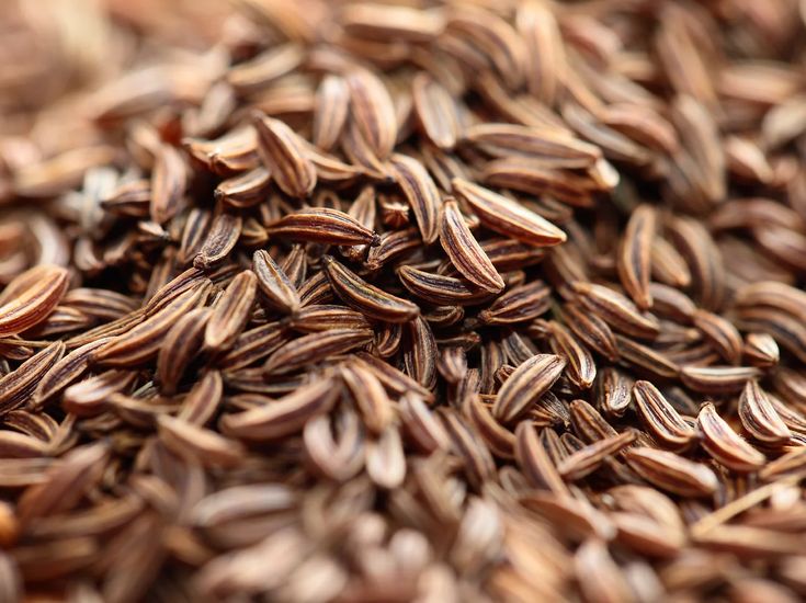 Cumin Whole Spice Export
