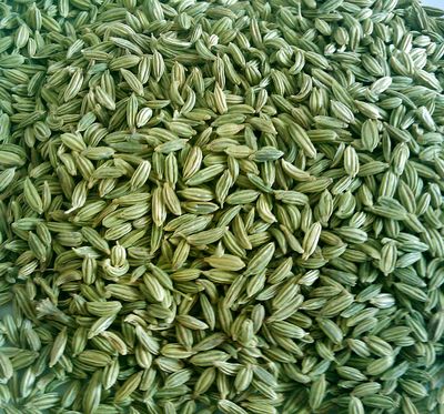 Fennel Whole Spice Export