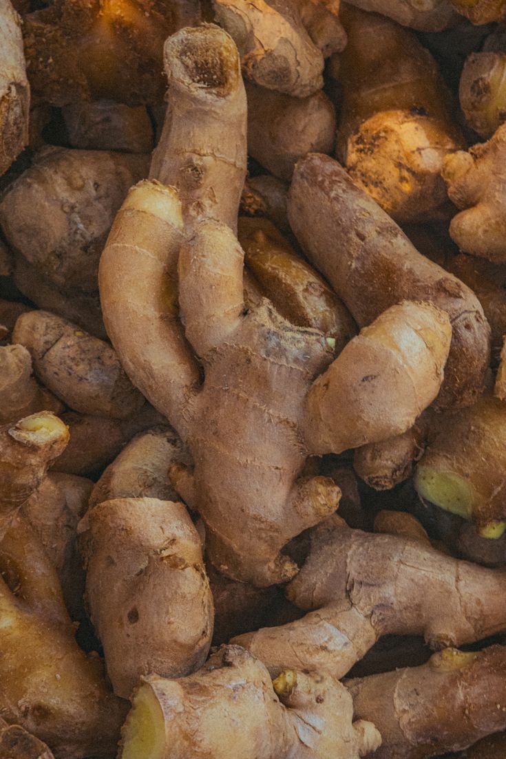 Ginger Whole Spice Export