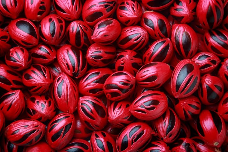 Nutmeg Whole Spice Export