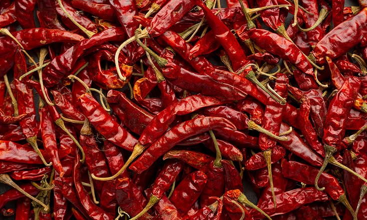 Red Chilli Whole Spice Export